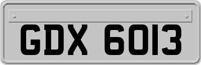 GDX6013