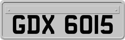 GDX6015