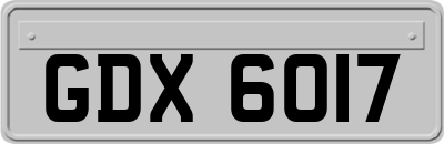 GDX6017
