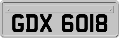 GDX6018
