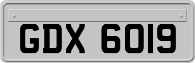 GDX6019