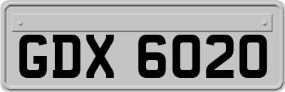 GDX6020