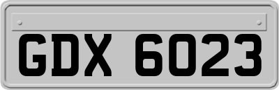 GDX6023