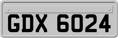 GDX6024
