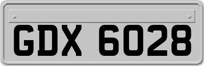 GDX6028