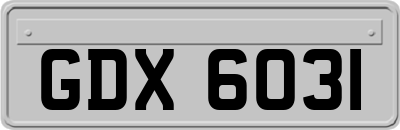 GDX6031