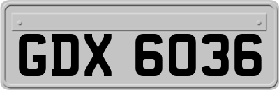 GDX6036