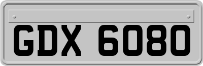 GDX6080
