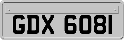 GDX6081