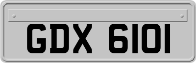 GDX6101