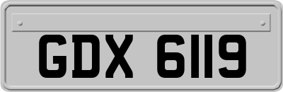 GDX6119