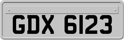GDX6123