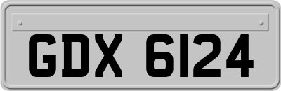 GDX6124