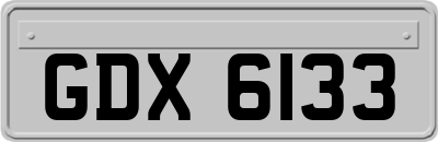 GDX6133