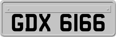 GDX6166