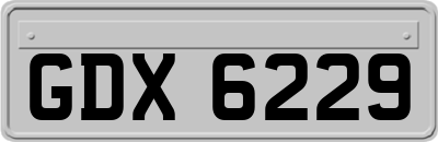 GDX6229