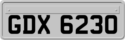 GDX6230
