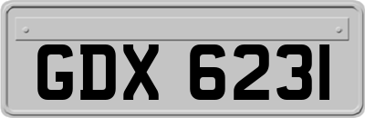 GDX6231