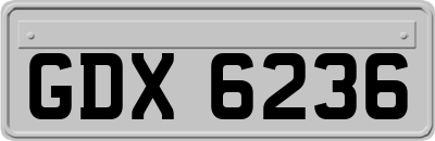 GDX6236