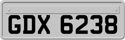GDX6238