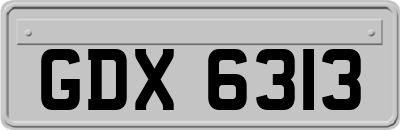 GDX6313