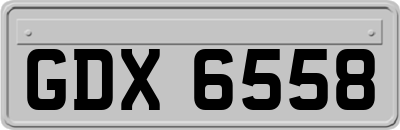 GDX6558