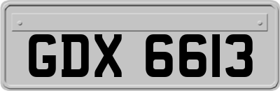 GDX6613