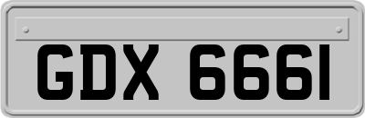 GDX6661