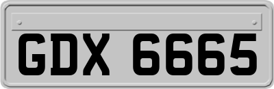 GDX6665