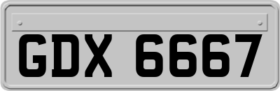 GDX6667