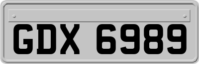 GDX6989