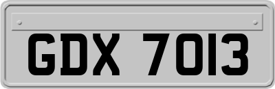 GDX7013