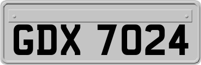 GDX7024