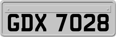 GDX7028