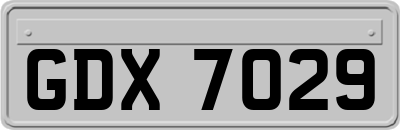 GDX7029