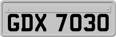 GDX7030