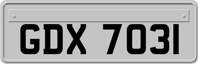 GDX7031