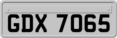 GDX7065