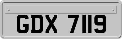 GDX7119