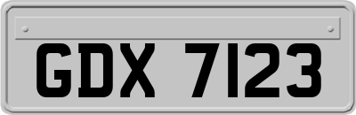GDX7123
