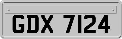 GDX7124