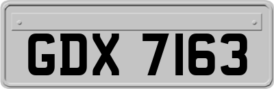 GDX7163