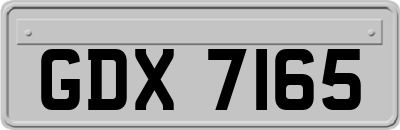 GDX7165