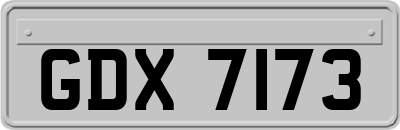 GDX7173