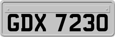GDX7230