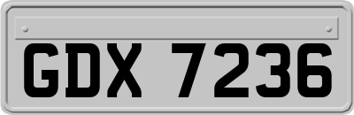 GDX7236