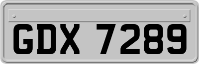 GDX7289
