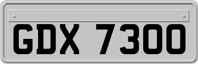 GDX7300
