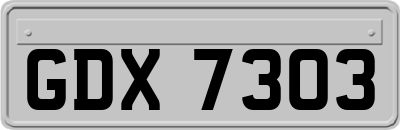 GDX7303