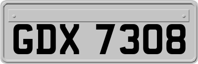 GDX7308
